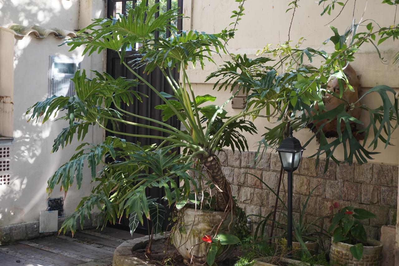 مبيت وإفطار كابو فريو Pouso Da Garca المظهر الخارجي الصورة